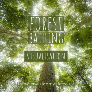 Forest bathing