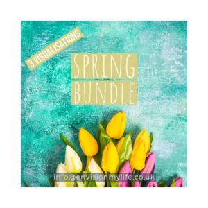 Visualisation - Spring Bundle