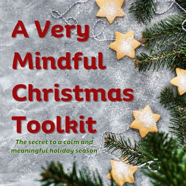 Christmas toolkit